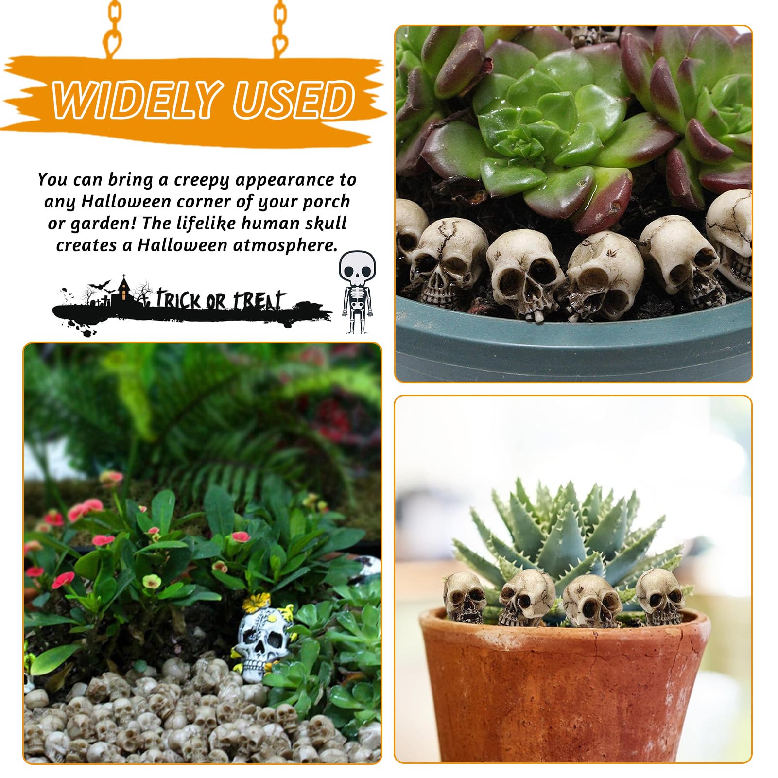 Crâne Plastique Festif Décorations Halloween - 20 Mini Têtes De Crâne - Effrayant Et Réutilisable Scheletro Anatomico