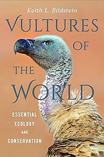 Vultures of the World: Essential Ecology and Conservation