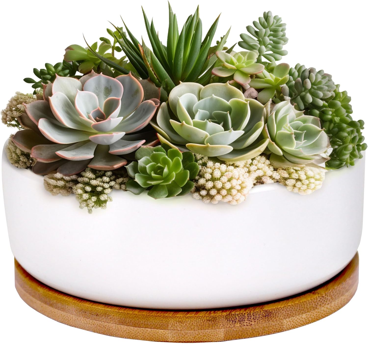 BambooMN Ceramic Succulent Planter Pots - 1 Pot - Round Bowl - with Bamboo Tray - White - 6.49