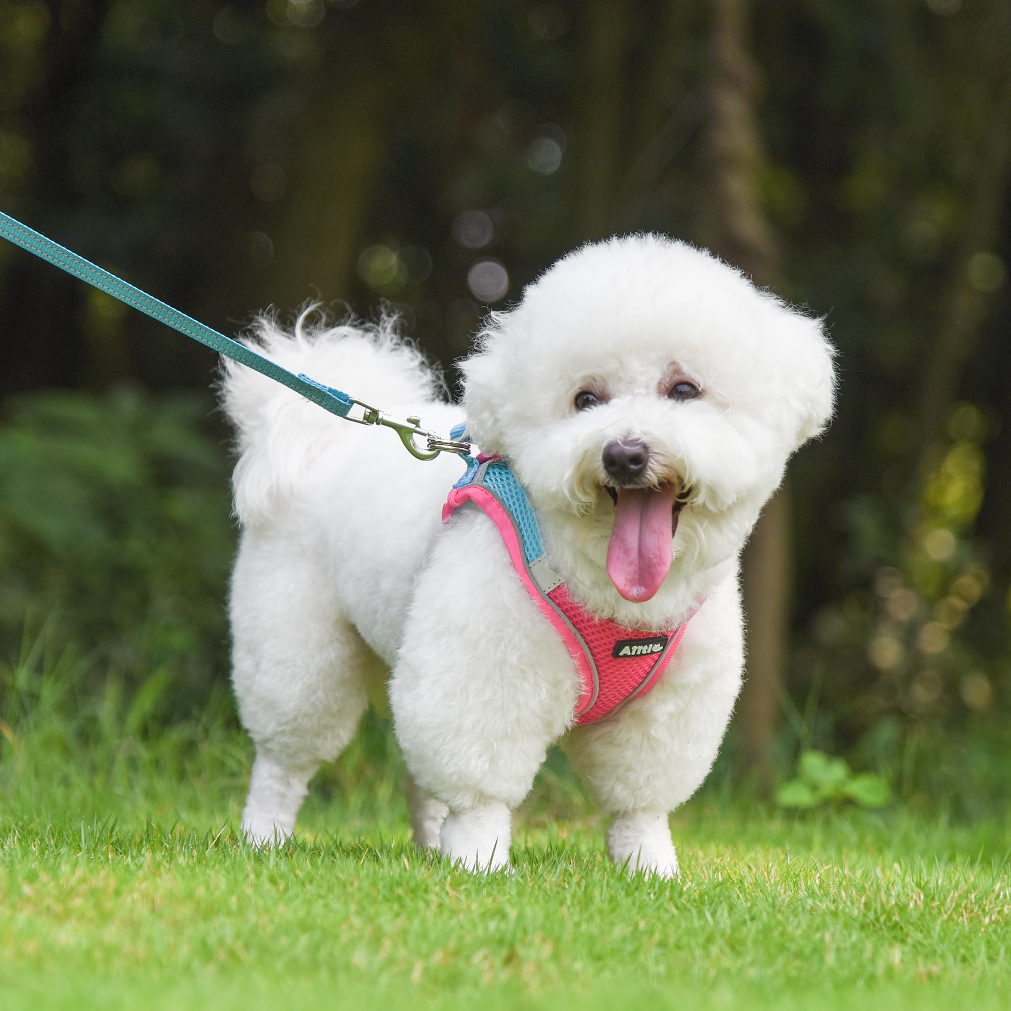 AIITLE Piccola pettorina per cuccioli con guinzaglio - Pettorina per cani con rete super traspirante, pettorina anti-tiro per passeggiate all'aperto per cani di piccola taglia, gatti Rosa caldo XXS