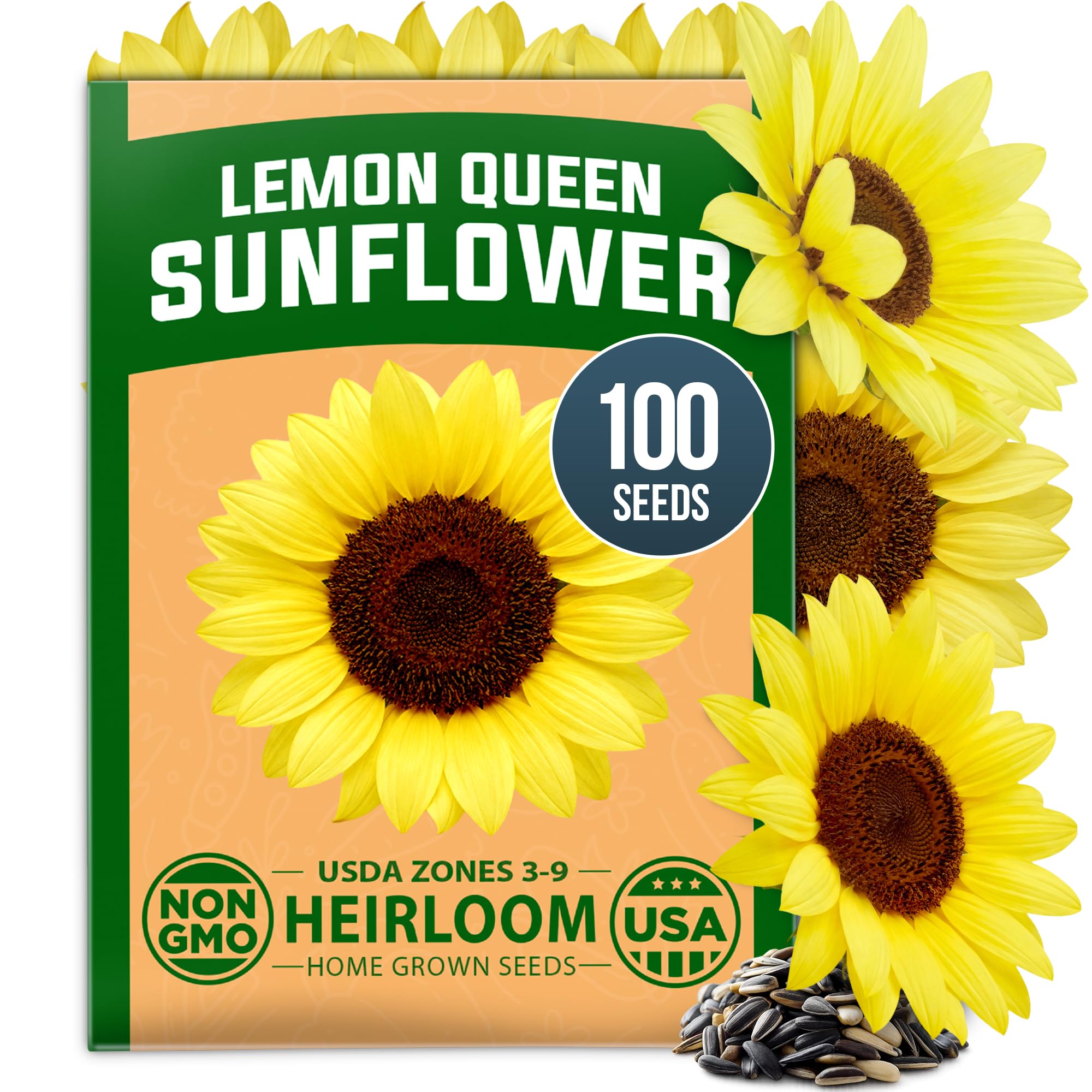 HOME GROWN Lemon Queen Sunflower Seeds, 100 Seeds, Helianthus annuus