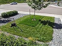 Review Image by Ratboy Ratboy