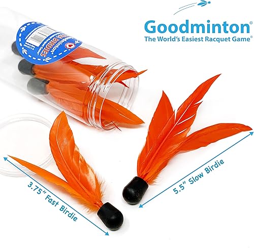 Miniatura 3 de VIAHART Goodminton - Juego de palas de bebé con diseño de pájaros