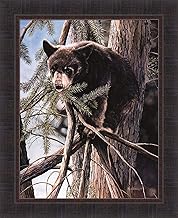 Out On A Limb by Kevin Daniel 22x27 Black Bear Resting Tree Framed Art Print Wall Décor Picture