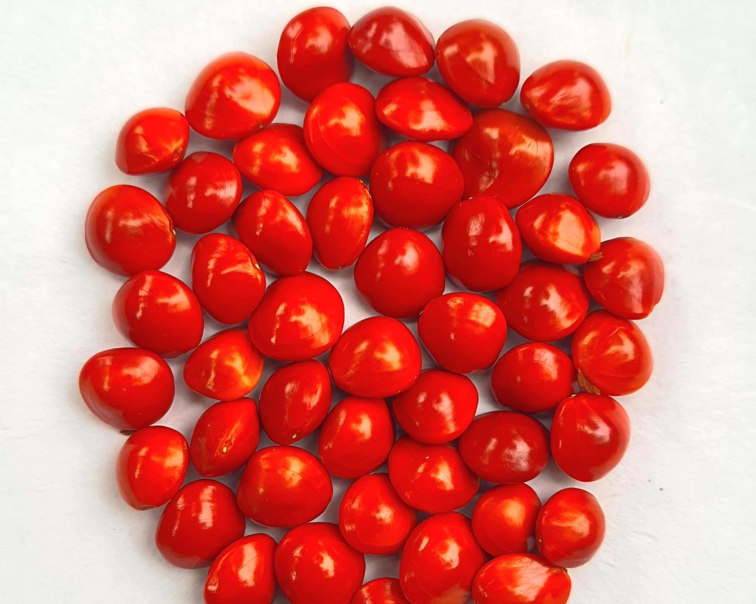 Beons Organic MANJADI SEEDS. Seeds For Guruvauoorppa For KRISHNA 200gm-image-6