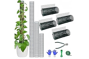 Sphagnum Moss Poles for Monstera Plant Growth