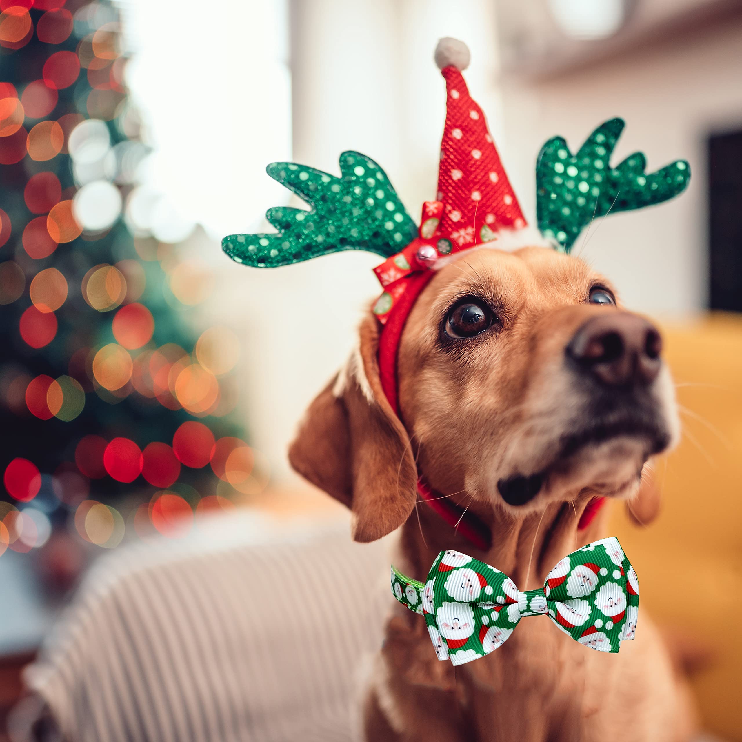 Weihnachtliche Hundehalsbänder Mit Fliege – 2er Set Mit Weihnachtsmann & Schneemann, Verstellbar Für Kleine Bis Große Hunde
