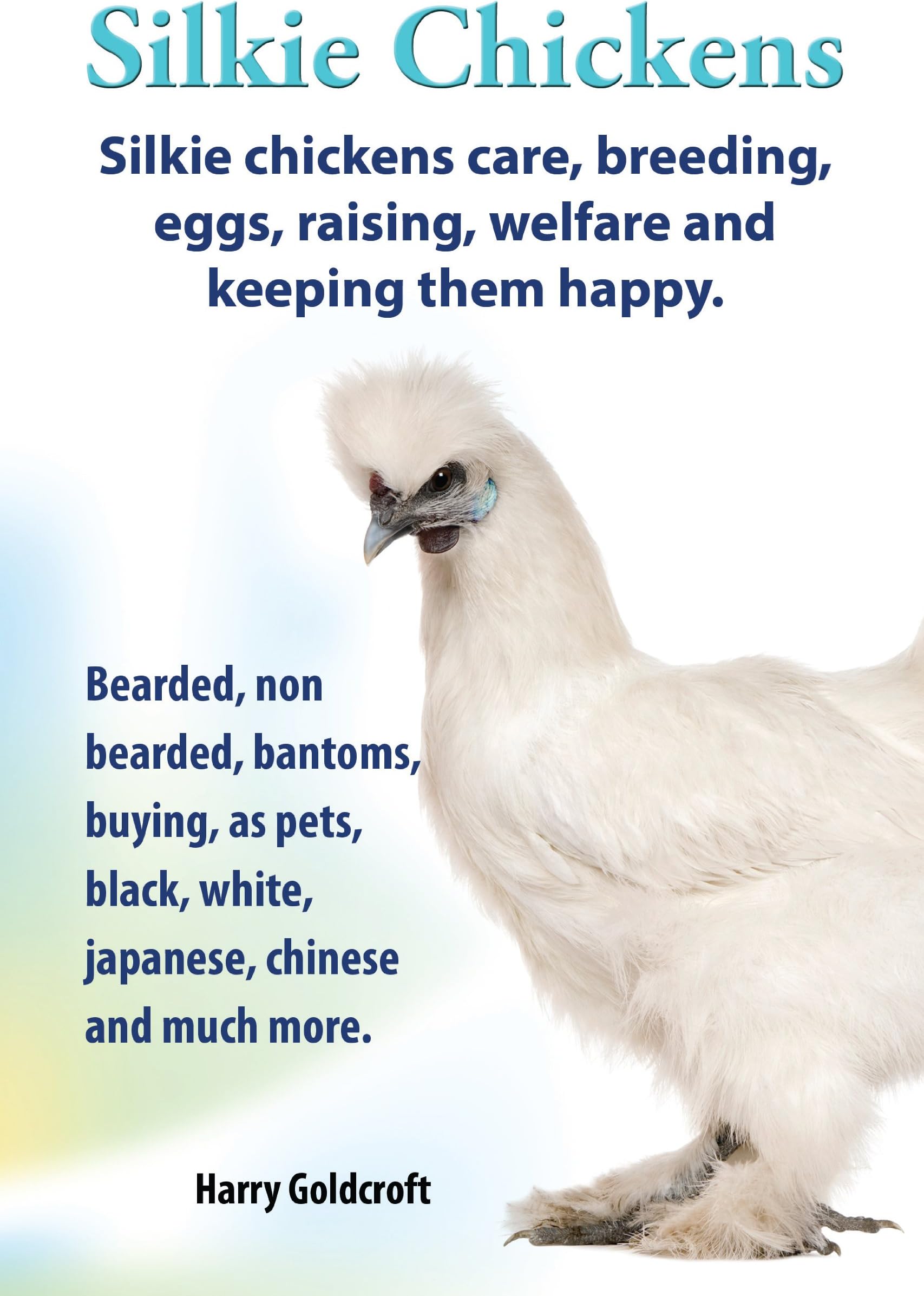 Silkie Chickens. Silkie Chickens Care, Breeding, Eggs, Raising, Welfare and Keeping Them Happy, Bearded, Non Bearded, Bantoms, Buying, as Pets