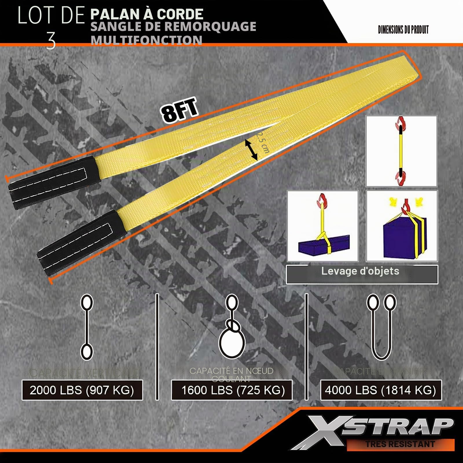 XSTRAP Standard Palan à Corde Robuste, Poids de Rupture de 1 800 kg, 2 Cordes de Levage de 2,5 m, Noir