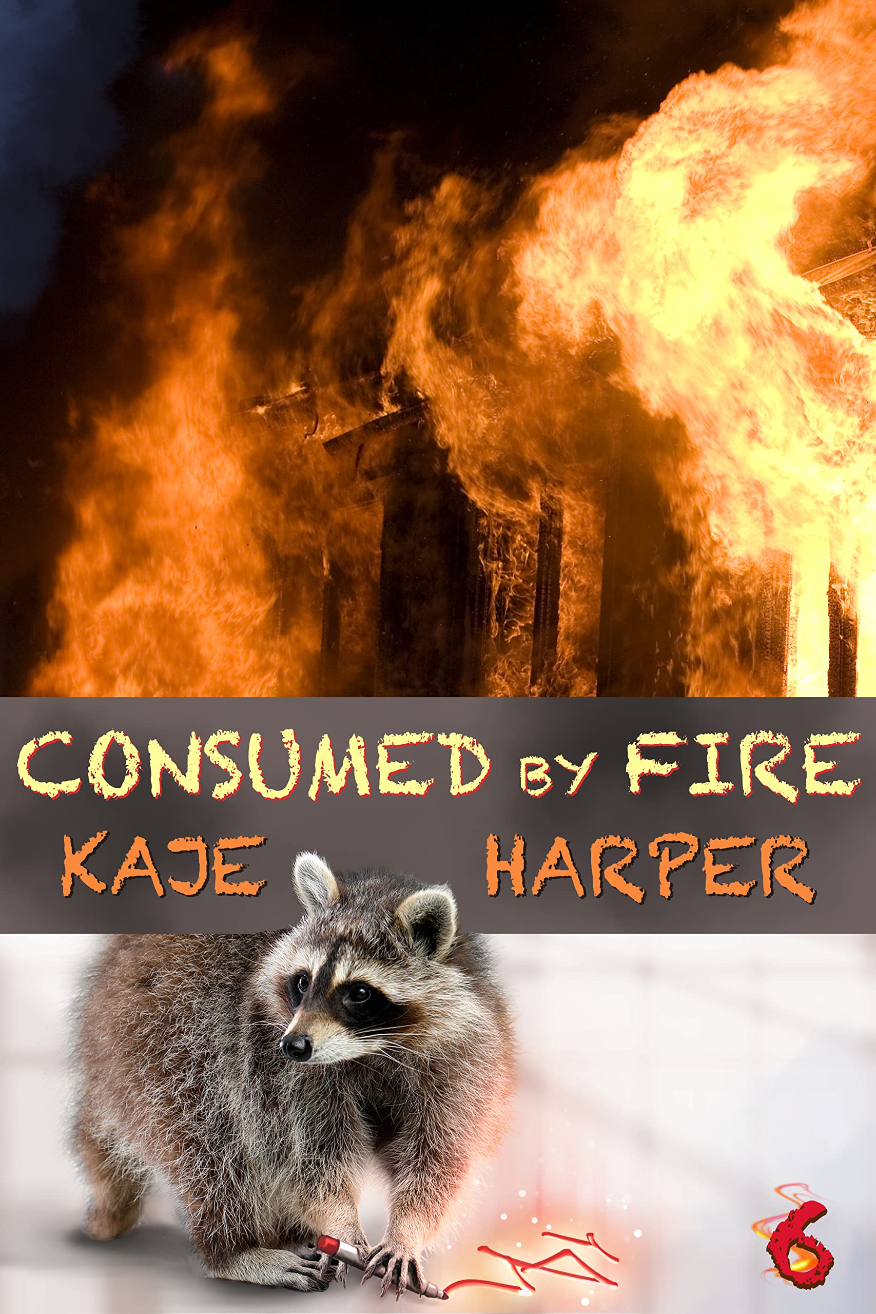 Consumed by Fire (Necromancer Book 6)