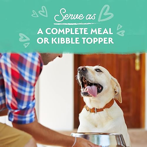 Miniatura 5 de Natural Balance Limited Ingredient - Alimento húmedo para perros adultos sin granos, pollo con zanahorias y guisantes verdes, 11 onzas (paquete de