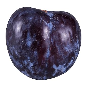 Black Plum