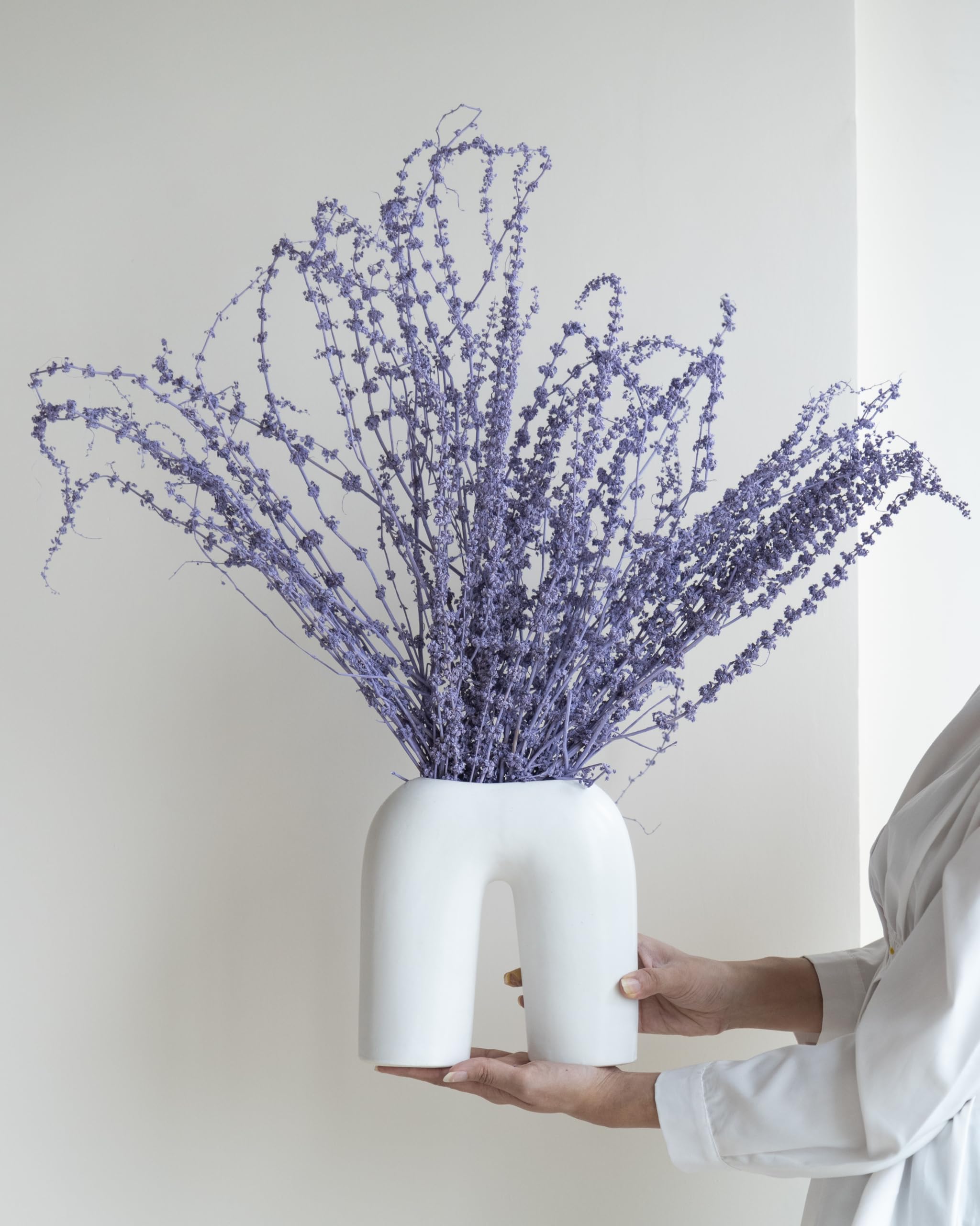 Flowers and Fillers| | Stag Grass Lavender (50 Sticks) | Eco-Friendly Flowers for Home, Office, Bedroom, Table Decoration | Dried Flowers-image-40