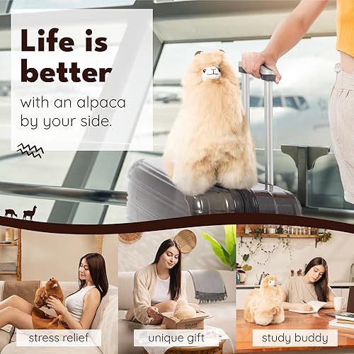 Miniatura 5 de Inkari Peluche de alpaca I de 9 pulgadas, hecho de lana de alpaca real, juguete de peluche de alpaca súper lindo (Sahara)