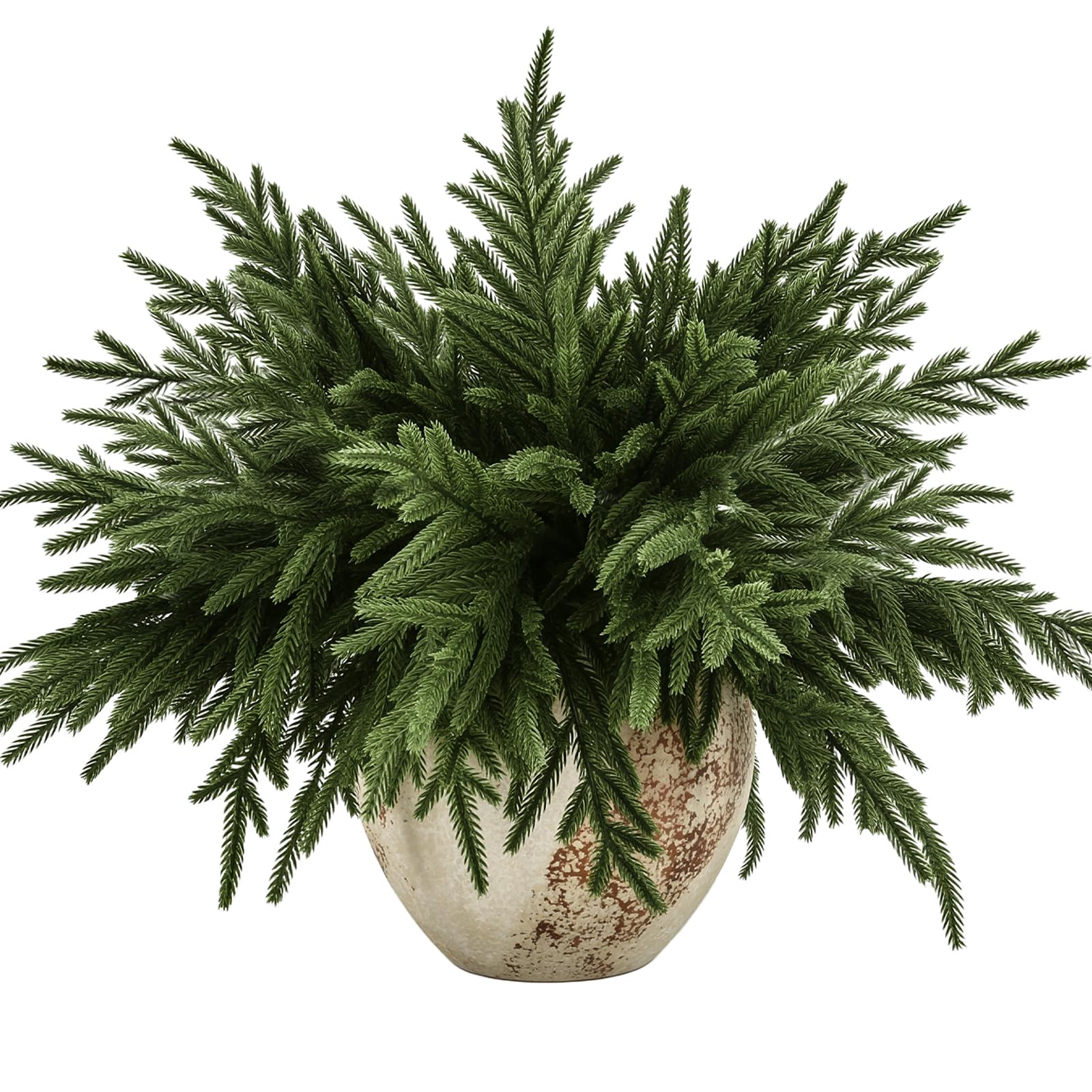 joyhalo 32-Pack Norfolk Pine Stems