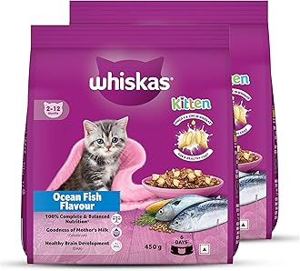 Junior Mother Cat & Kitten (2-12 Months) Dry Cat Food, Ocean Fish Flavour, 450 g, Contains 41 Essential Nutrients, Complete & Balanced Nutrition for Mother Cats & Kittens (Pack of 2)