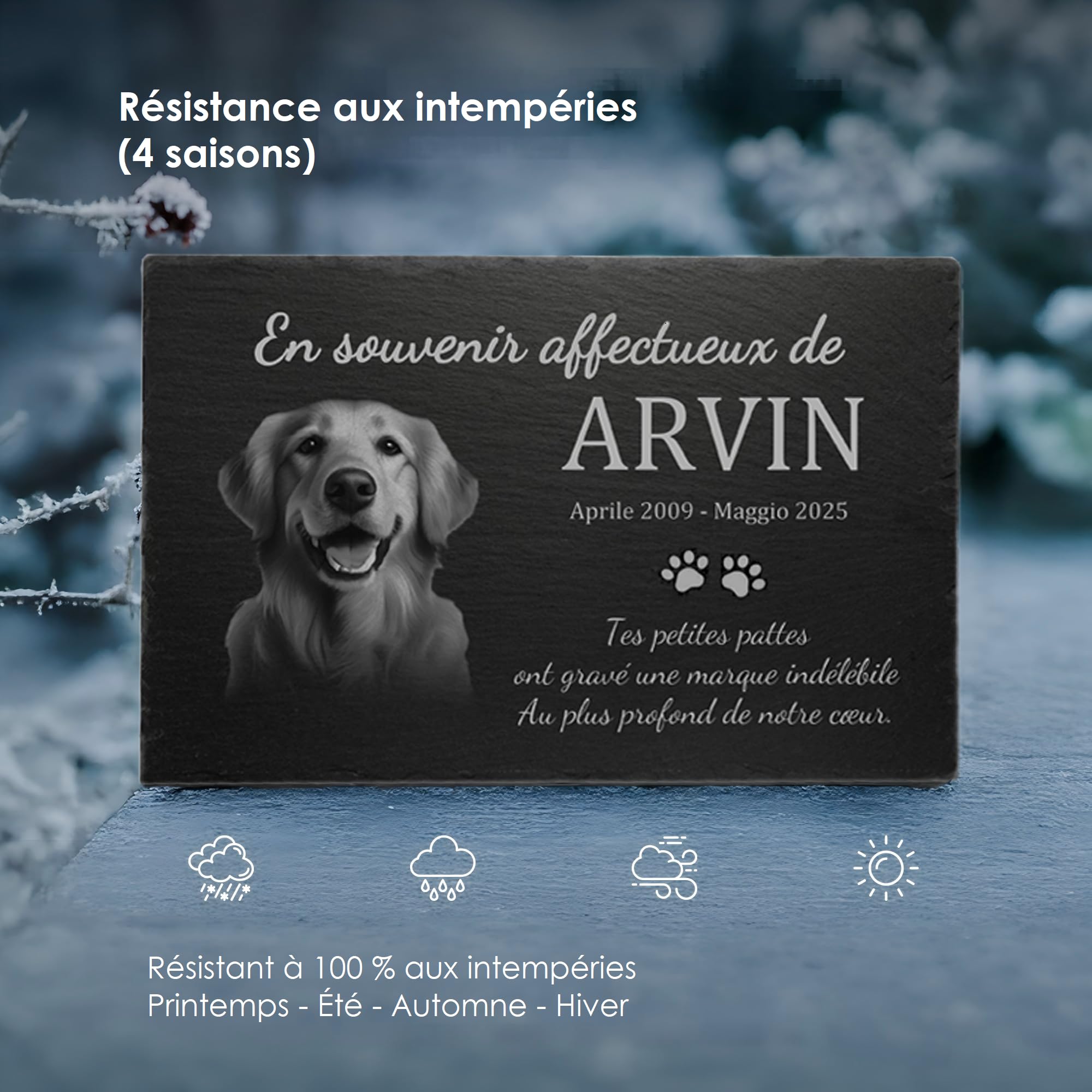 Plaque funéraire personnalisée en Ardoise Naturelle 30x20cm – Gravure Laser Photo & Texte – Pierre commémorative pour Chien, Chat & Animaux – Artisanat Allemand