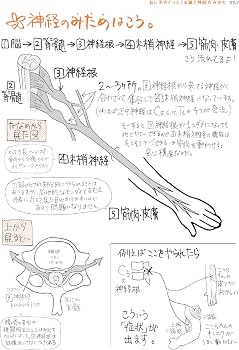 ねじ子の ぐっとくる脳と神経のみかた | 森皆 ねじ子, 森皆 ねじ子 |本