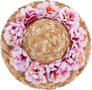 Dog Hat Pfg Hat Cat Hats for Cats Only Dog Summer Braid Jewelry Pet Party Dog Straw Hat Pet Woven Straw Hat Trinket Pet Straw Hat Puppy Hat Nf Hat Hat Mini Hat Party Hat Pet Dog