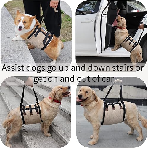 Miniatura 3 de Arnés de elevación para perros mayores con asa que ayuda a los caninos ancianos a discapacitados, para perros mayores, rodillera delantera o trasera