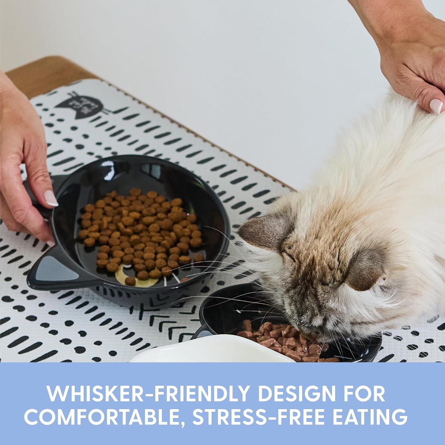 The Cat Ladies Ceramic Cat Bowls - Whisker Friendly Food Bowl - Cute Pet, Kitten Plates - Dishes for Indoor Cats - Dish for Wet Food & Water - Platos para Gatos - Black Cat, Small