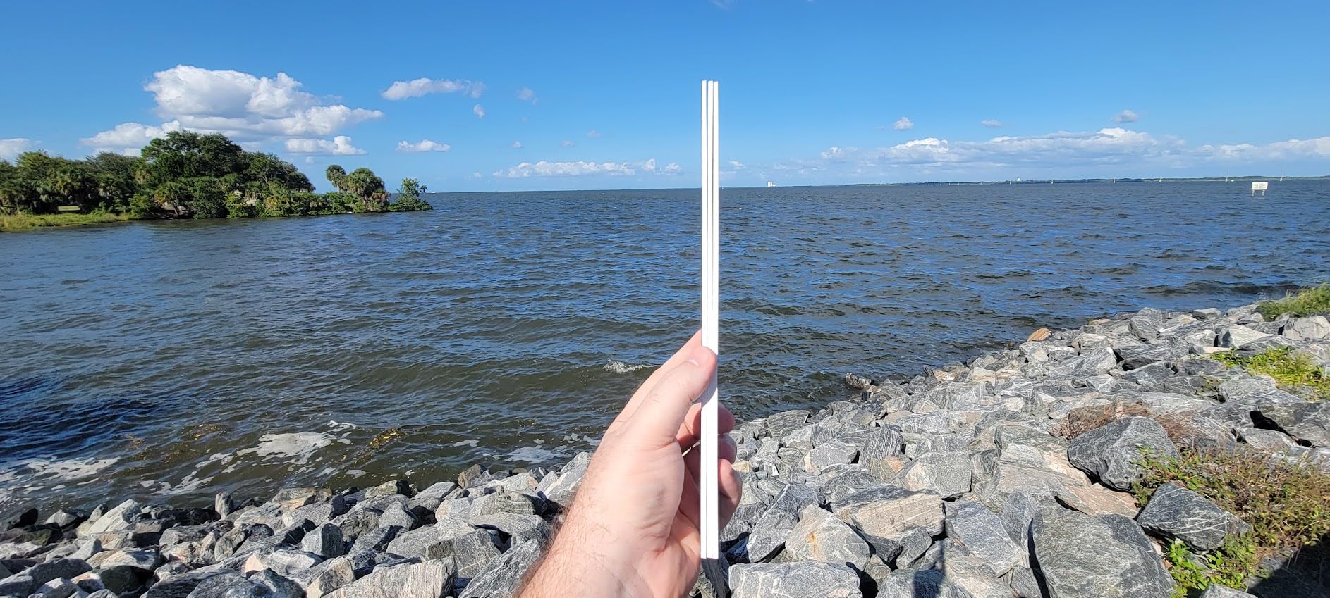 Salty Bones Georgia Saltwater Fishing Ruler - 36