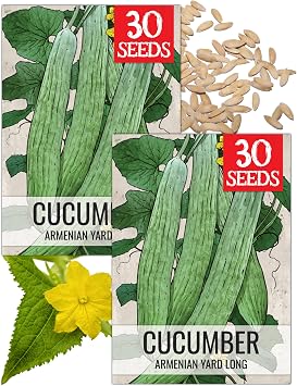 Seed Needs Armenian Yard Long Cucumber Seeds to Plant Heirloom 2 Packs