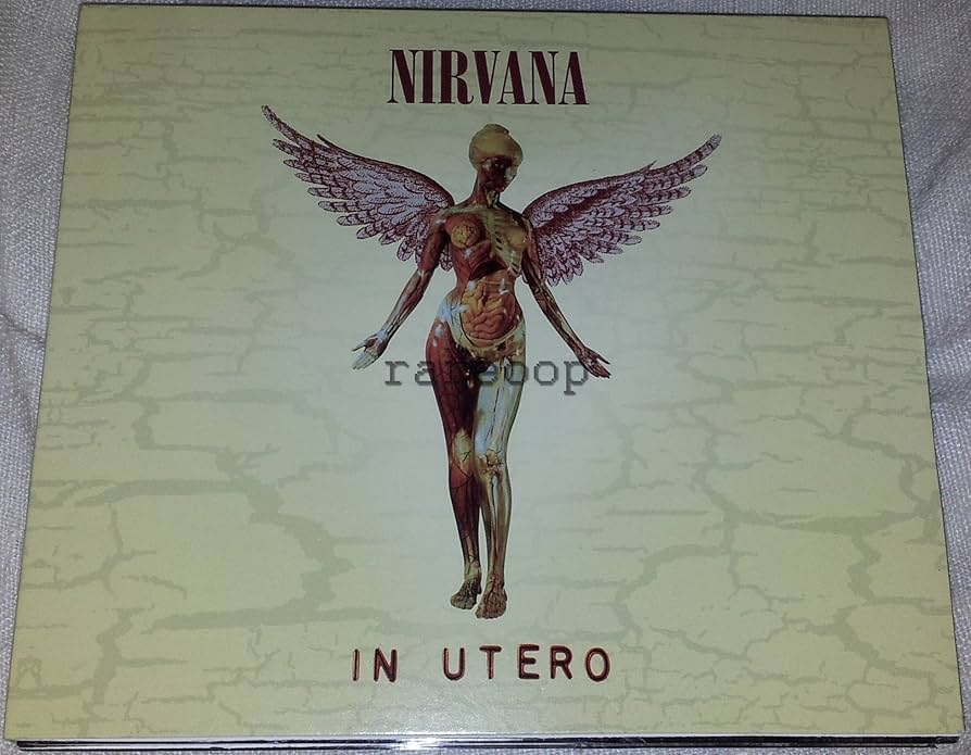 洋楽 Nirvana In Utero 20thAnniversary Edition In Utero (20th Anniversary Edition) - Nirvana