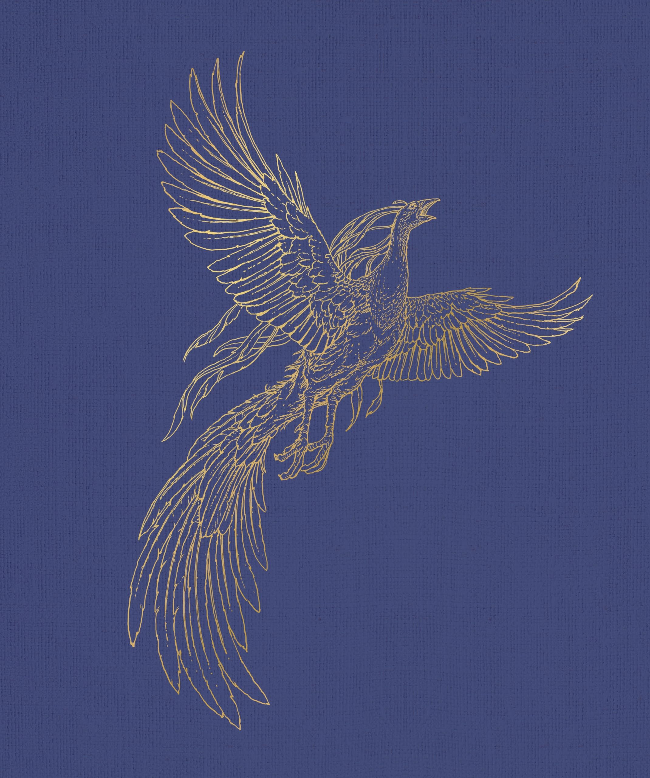Harry Potter and the Half-Blood Prince: Deluxe Illustrated Slipcase Edition