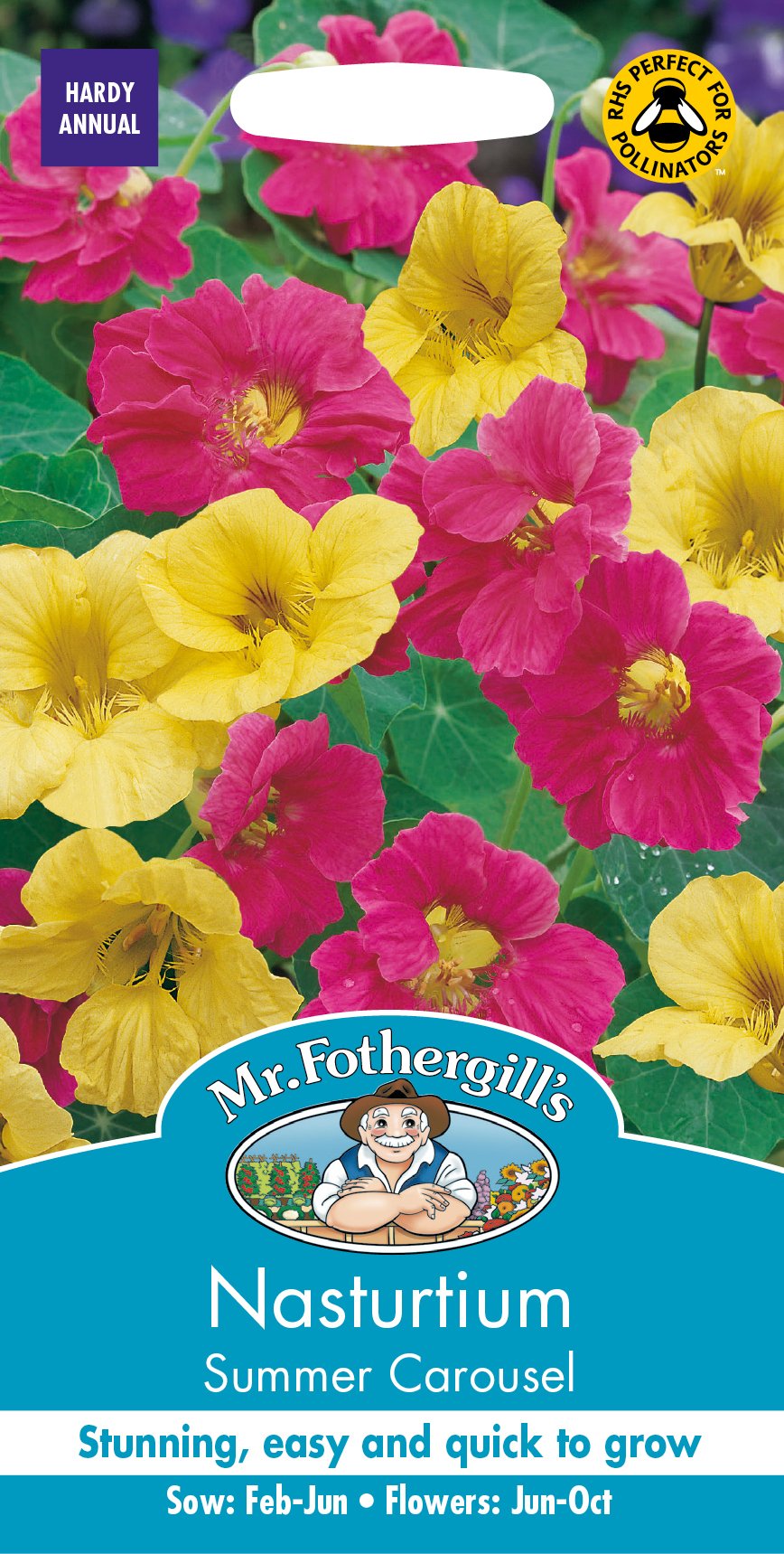 Mr Fothergill's - Pictorial Packet - Flower - Nasturtium Summer Carousel - 25 Seeds