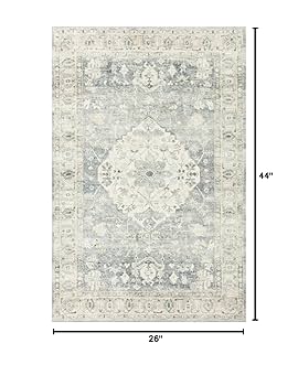Amazon.com: Loloi II Rosette Denim/Fog 2'-2