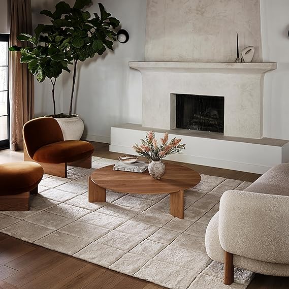 Rugs USA Frenshe Interiors by Ashley Tisdale X Em Checked