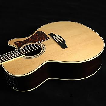 Amazon | Takamine DMP50S NAT エレアコギター 島村楽器 x Takamine