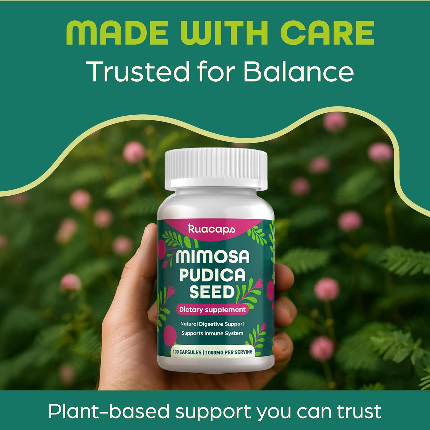 Mimosa Pudica Seed Capsules 1000mg – Natural Digestive Support – Gluten-Free, Non-GMO – 100 Caps – Plant-Based Supplement - Image 7