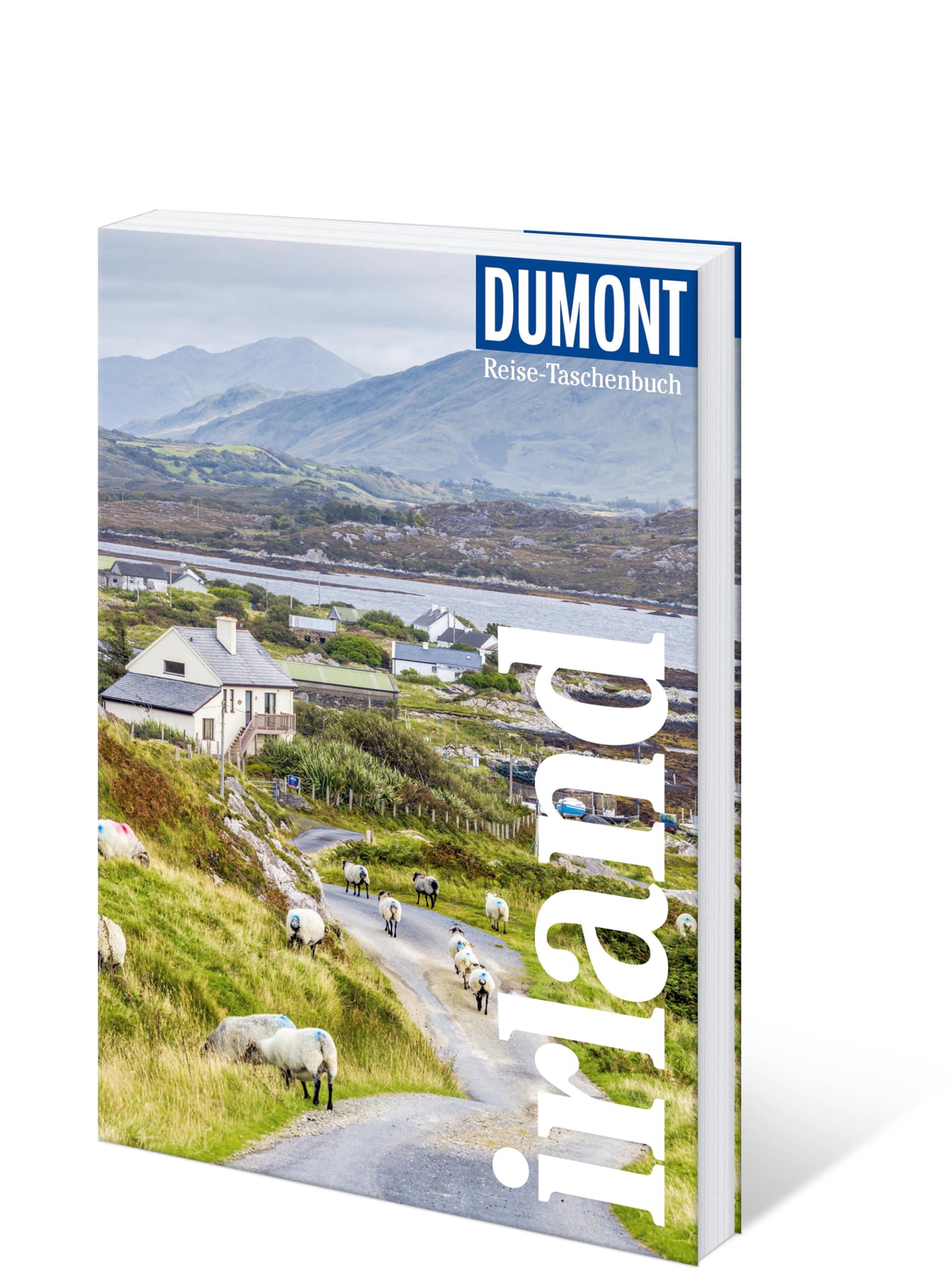 DUMONT Reise-Taschenbuch Reiseführer Irland: Reiseführer plus Reisekarte. Mit individuellen Autorentipps und vielen Touren.