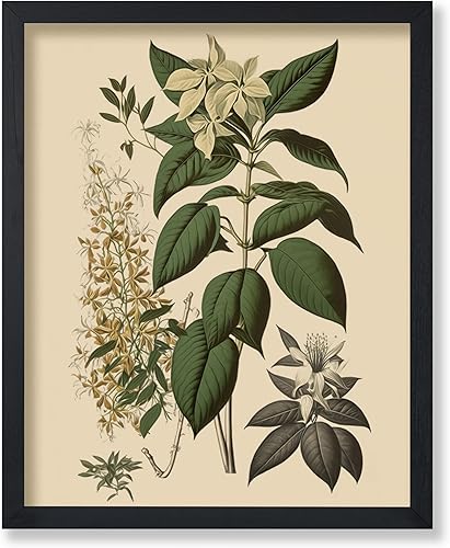 Miniatura 229 de Poster Master Póster vintage de orquídea, estampado de flores retro, arte de pared de plantas exóticas, arte botánico, regalo para hombres y