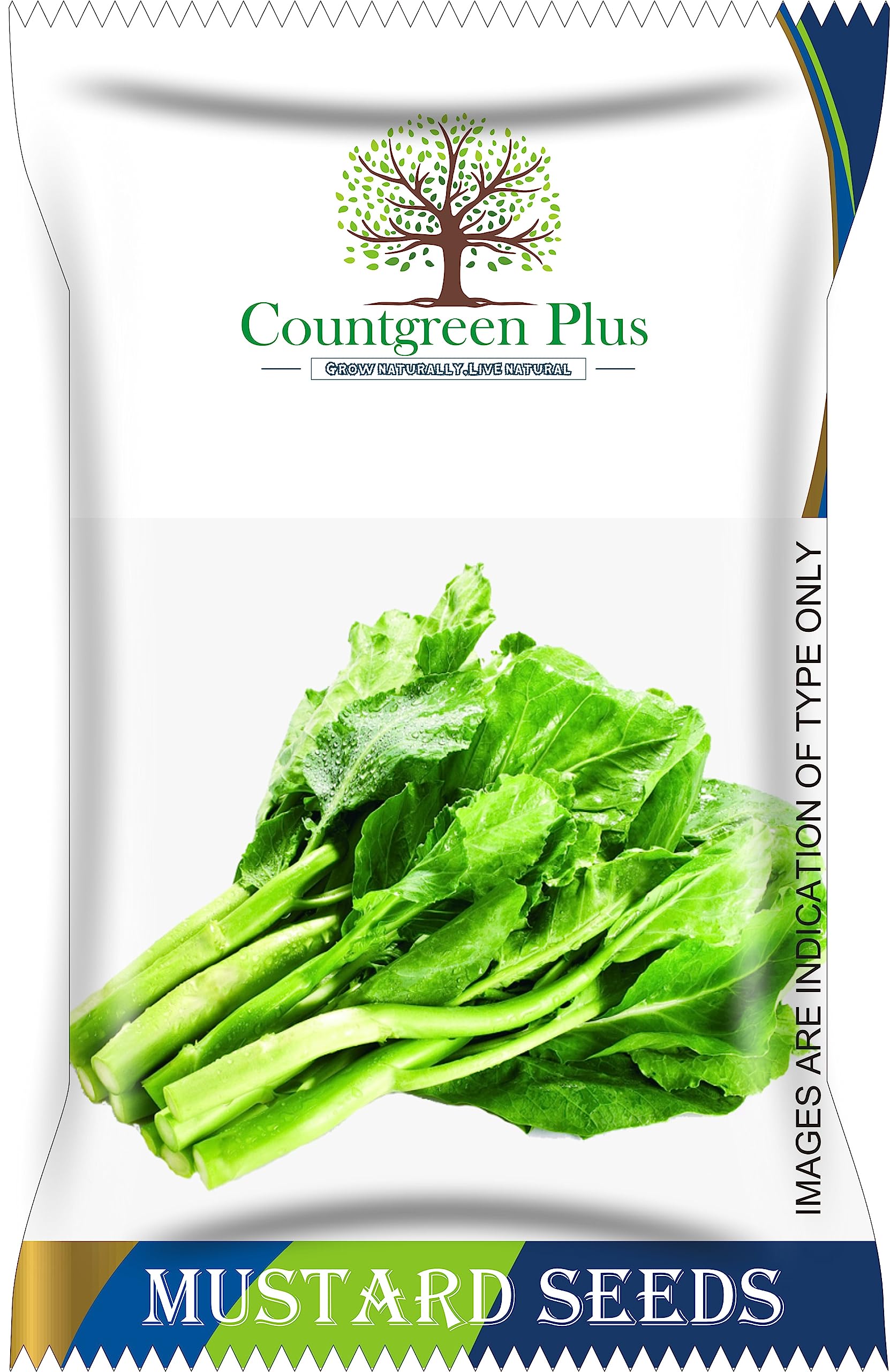 Countgreen Plus Organic Mustard Seeds (Sarso/Sarso Da Saag) – Pack of 100 Healthy Vegetable Planting Seeds, Ideal for Growing Nutritious Mustard Greens (B0921WQVD3) Amazon Price History, Amazon Price Tracker