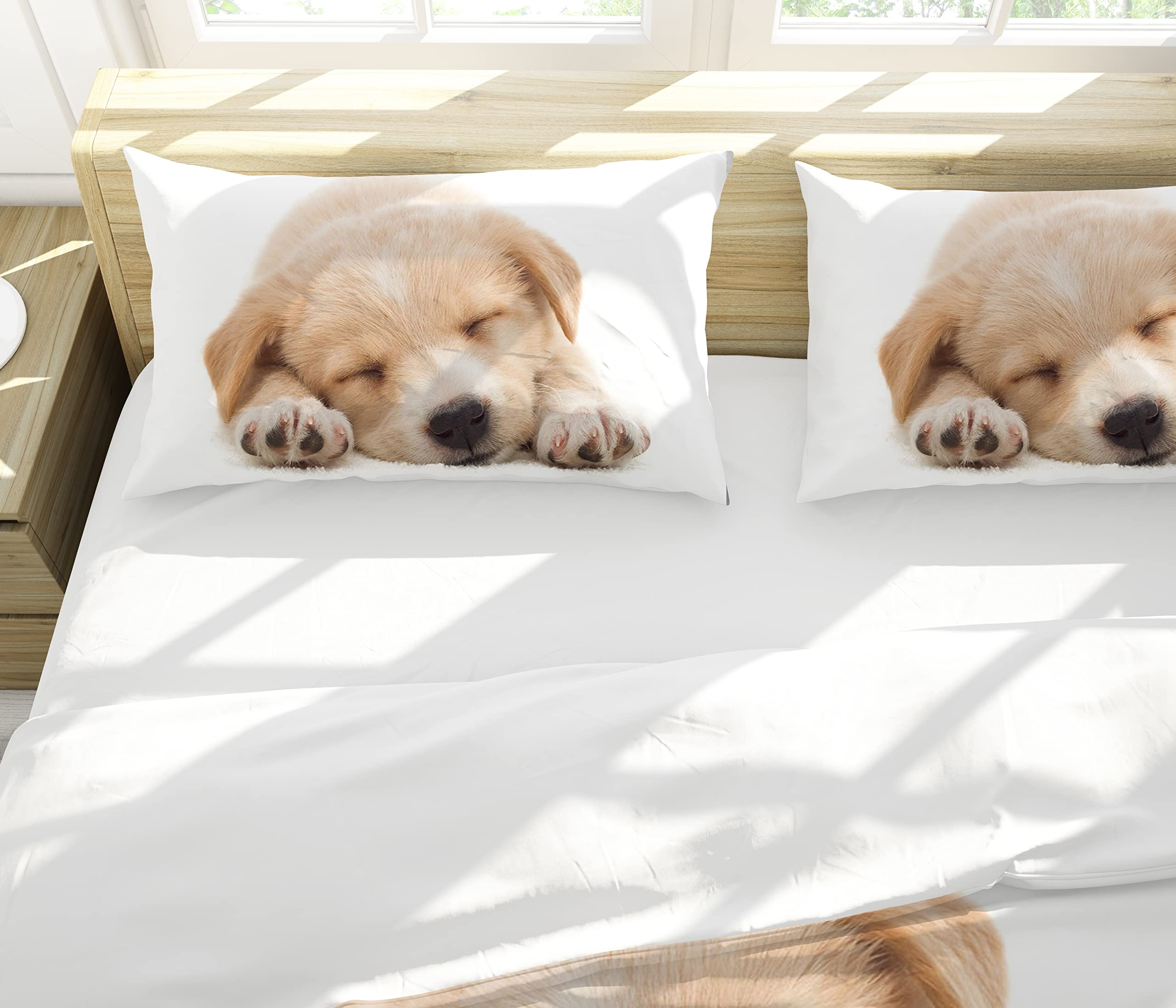 Ropa de Cama, con Funda nórdica y 2 Fundas de Almohada, diseño de Gatitos 3D, con Cremallera para niñas y niños (Cachorro Amarillo., 220 x 240cm)
