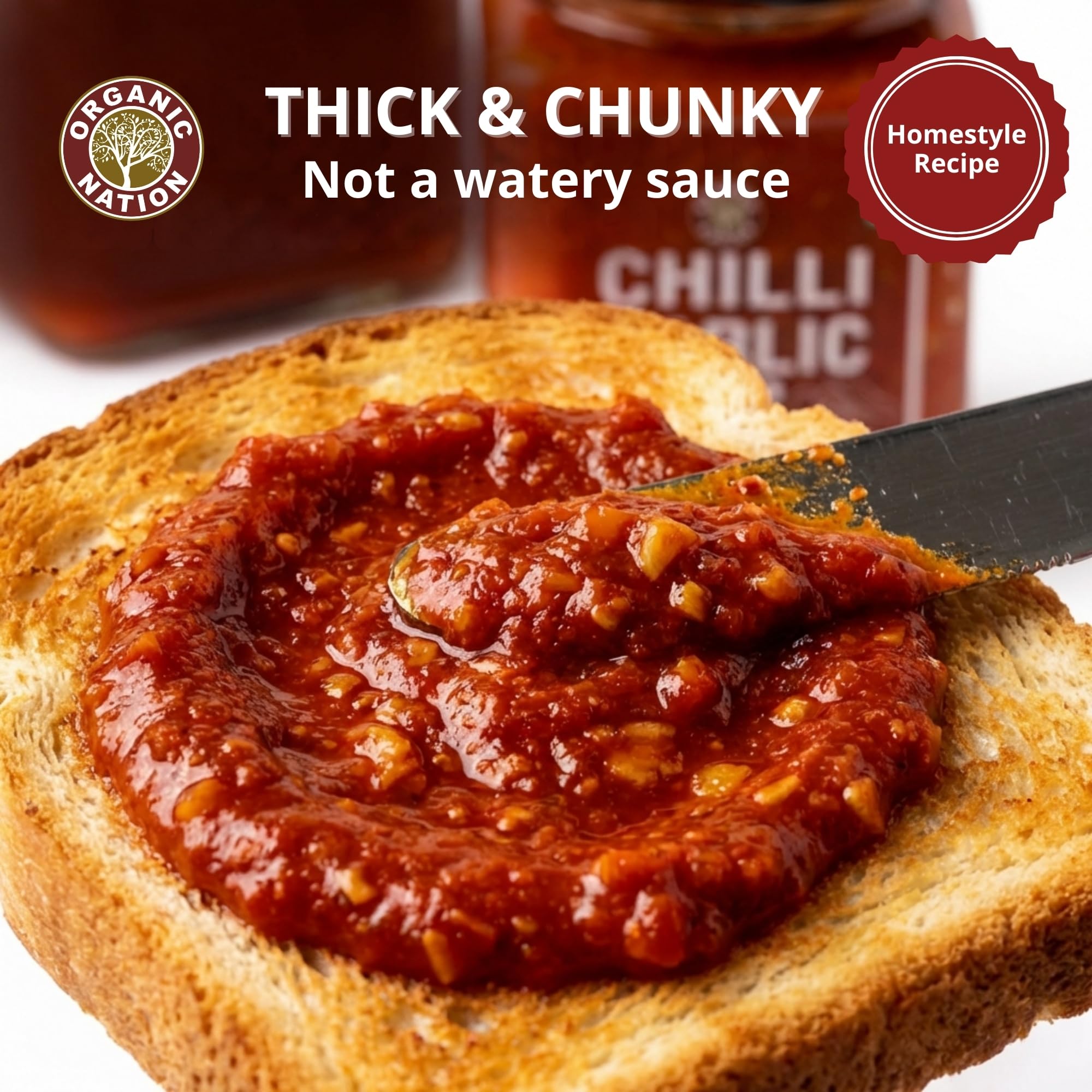 ORGANIC NATION Flavorful Chilli Garlic Dip - Gourmet Chilli Sauce with Rich Garlic & Aromatic Spices, Spicy Chili Crisp - Perfect for Dipping, Cooking, and Marinades, No Preservatives - 260g 2