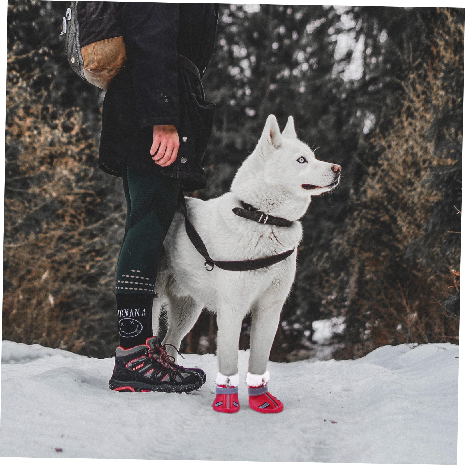 POPETPOP 12 Pièces Chaussures De Chien Automne Hiver Bottes Raquettes à Neige pour Petits Chiens Protecteur De Pattes d'animaux De Noël Automne Et Hiver Coton Chaussures Courtes