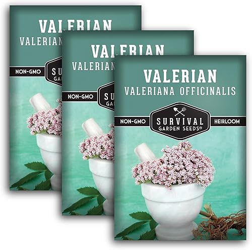 Miniatura 6 de Semillas de valeriana para plantar, 1 paquete con instrucciones para plantar y cultivar hierba medicinal Valeriana Officinalis en el jardín de