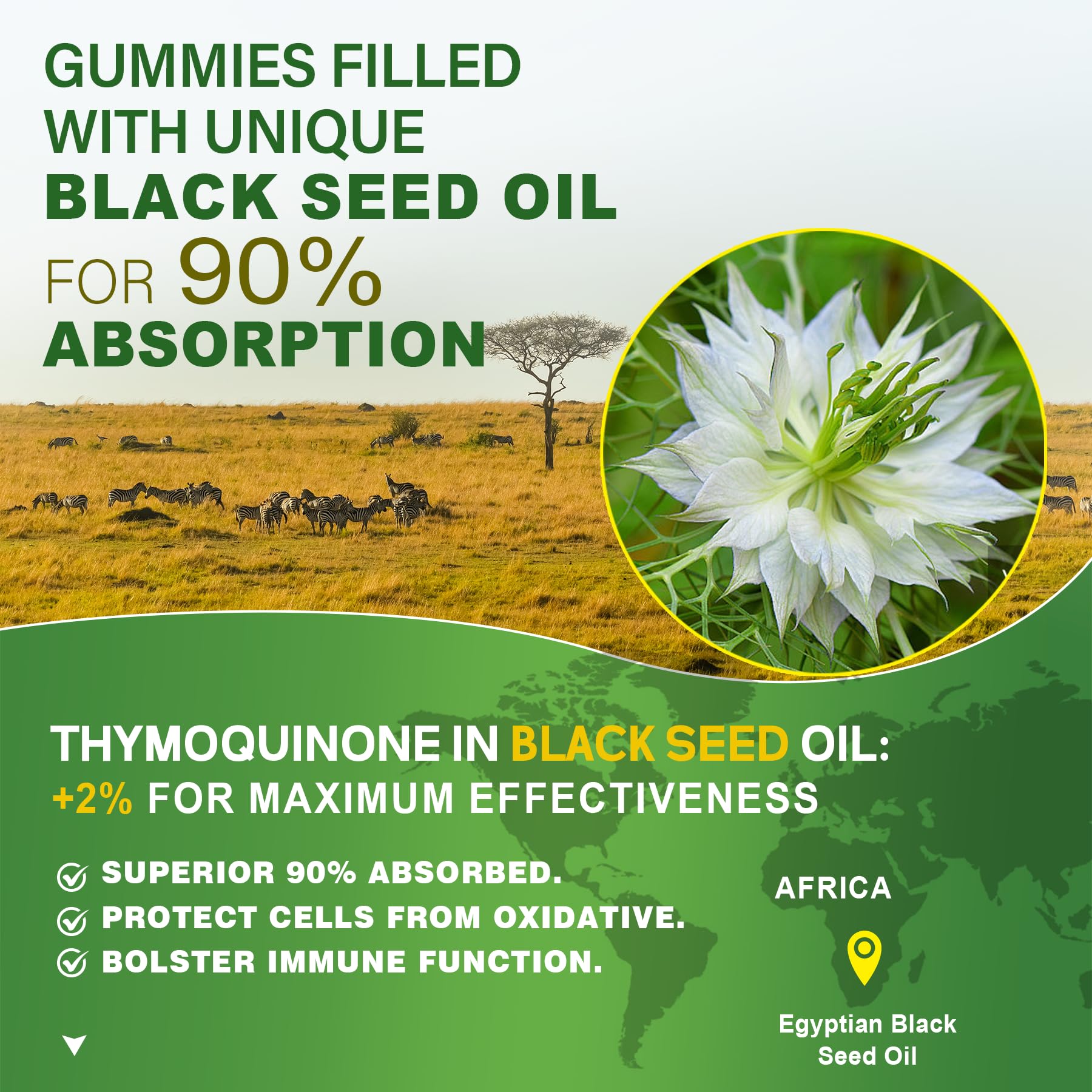 Black Seed Oil Gummies for Adults & Kids 9+, Chlorophyll & Sea Moss Supplement, Biotin with Hydrolyzed Collagen for Skin, Hair & Nails, Vit E, C, Zinc for Immune, Overall Health, Organic Cold Pressed — Amazon image 3