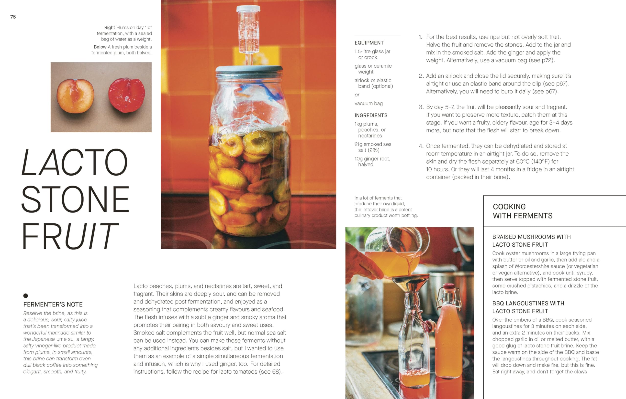 The Fermentation Kitchen: Recipes and Techniques for Kimchi, Kombucha, Koji and More