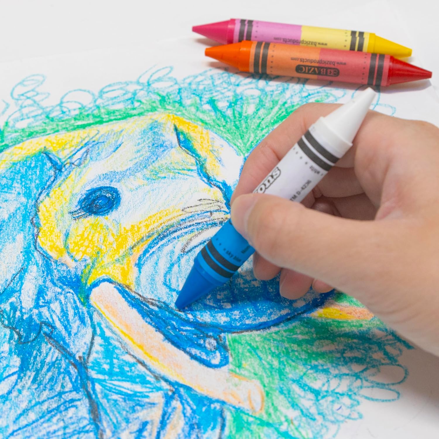 BAZIC PRODUCTS Dual Sided Super Jumbo Crayons Premium 12 Colors, Non Toxic Drawing Crayons, Gift for Student, 24-Pack