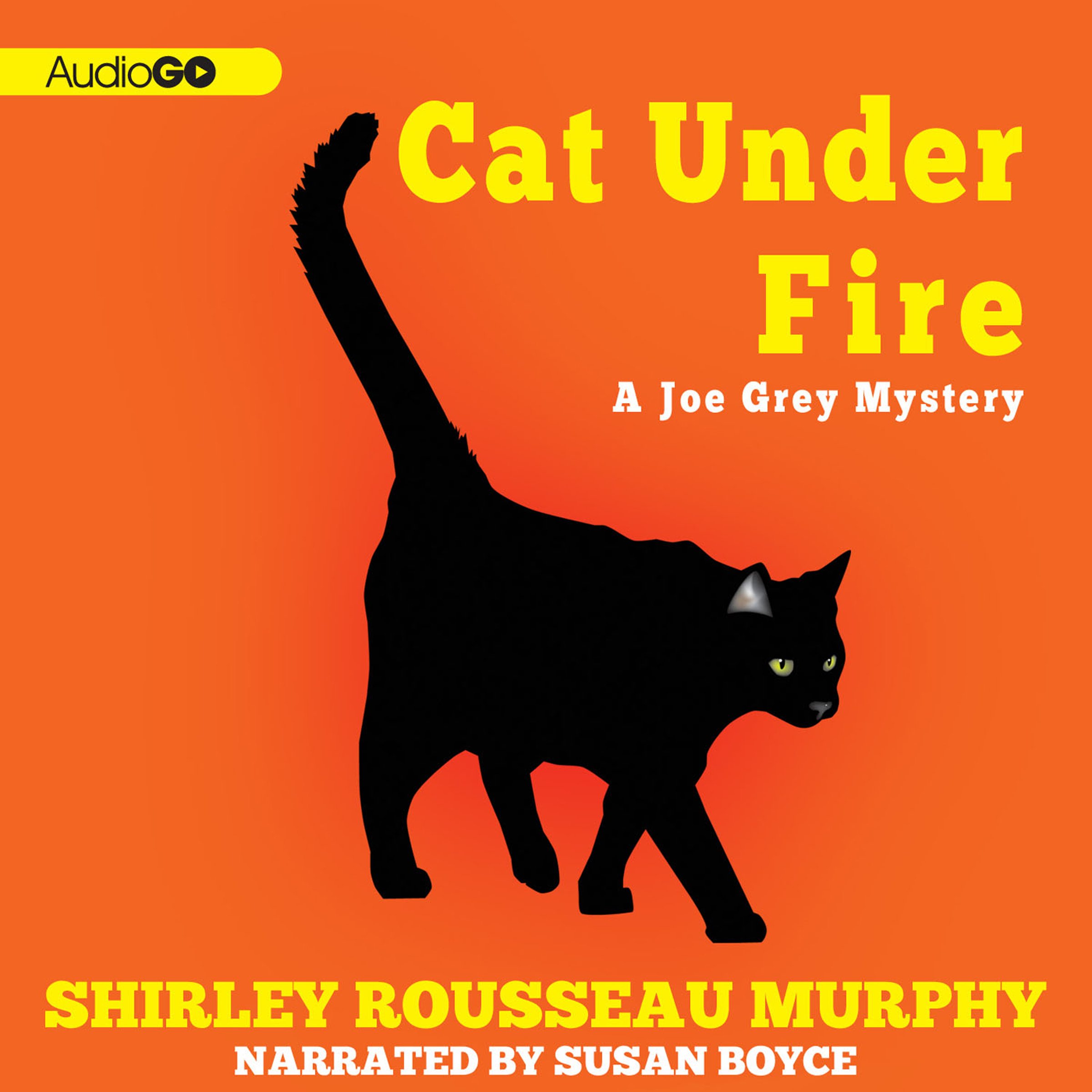 Book cover for Cat Under Fire