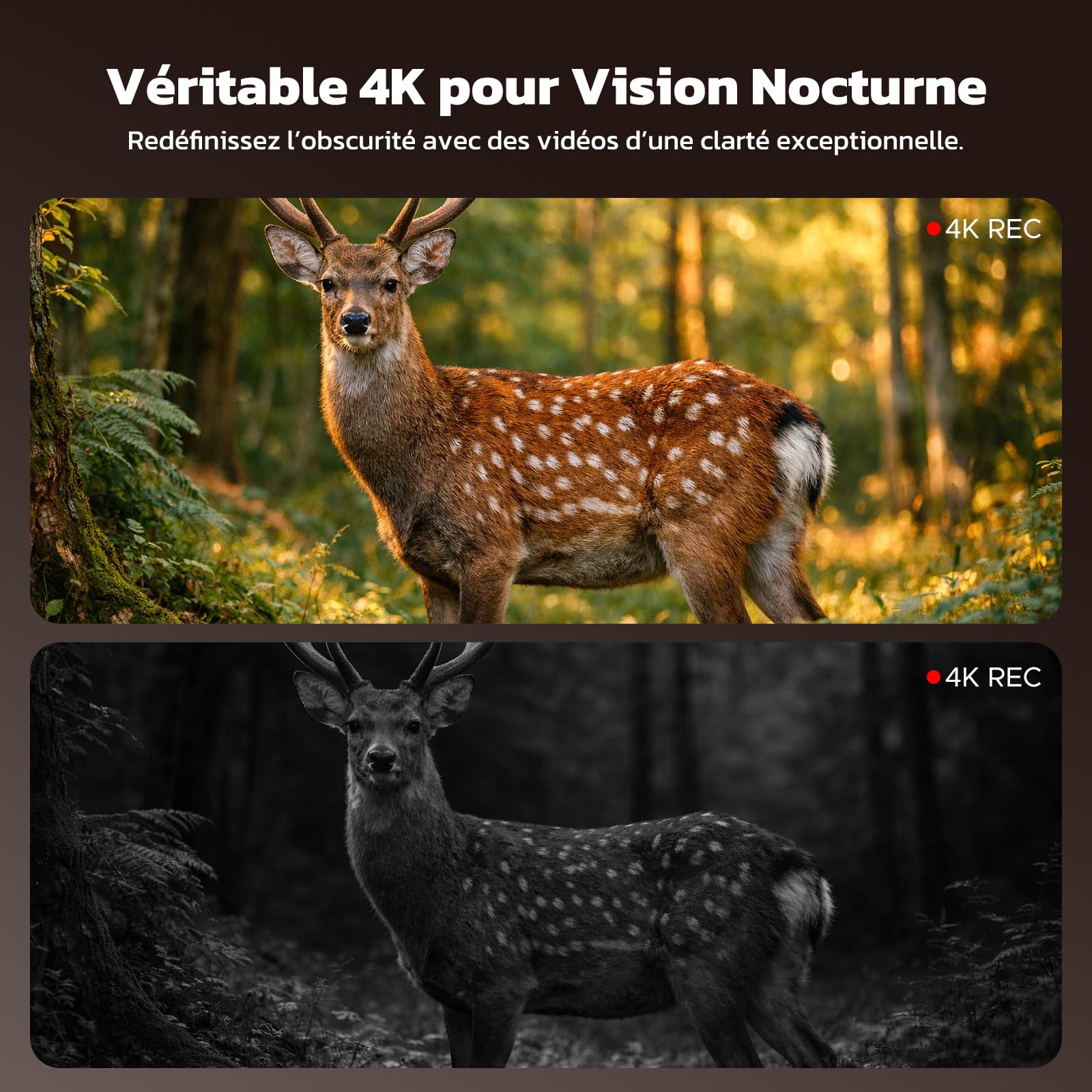 Jumelles Vision Nocturne 4K 48MP avec Zoom 10x, Batterie 5000mAh Rechargeable, Portée 400m, pour Chasse, Observation Animale, Camping et Sécurité
