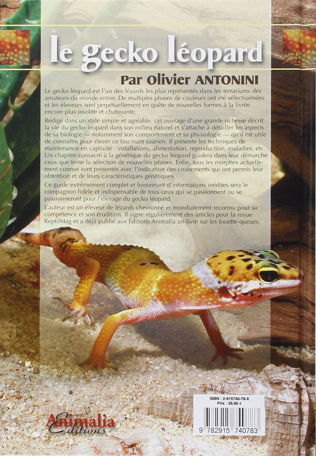 Le Gecko Léopard: Eublepharis Macularius
