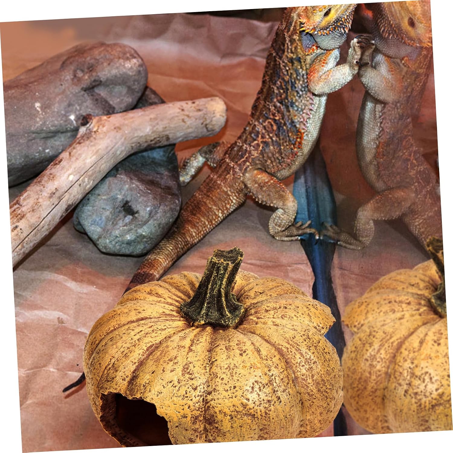 Garneck Decorative Pumpkin Reptile Hideout Premium Terrarium Decor for Lizards Turtles and Snakes Lightweight Realistic Cave for Reptile Habitats and Landscaping