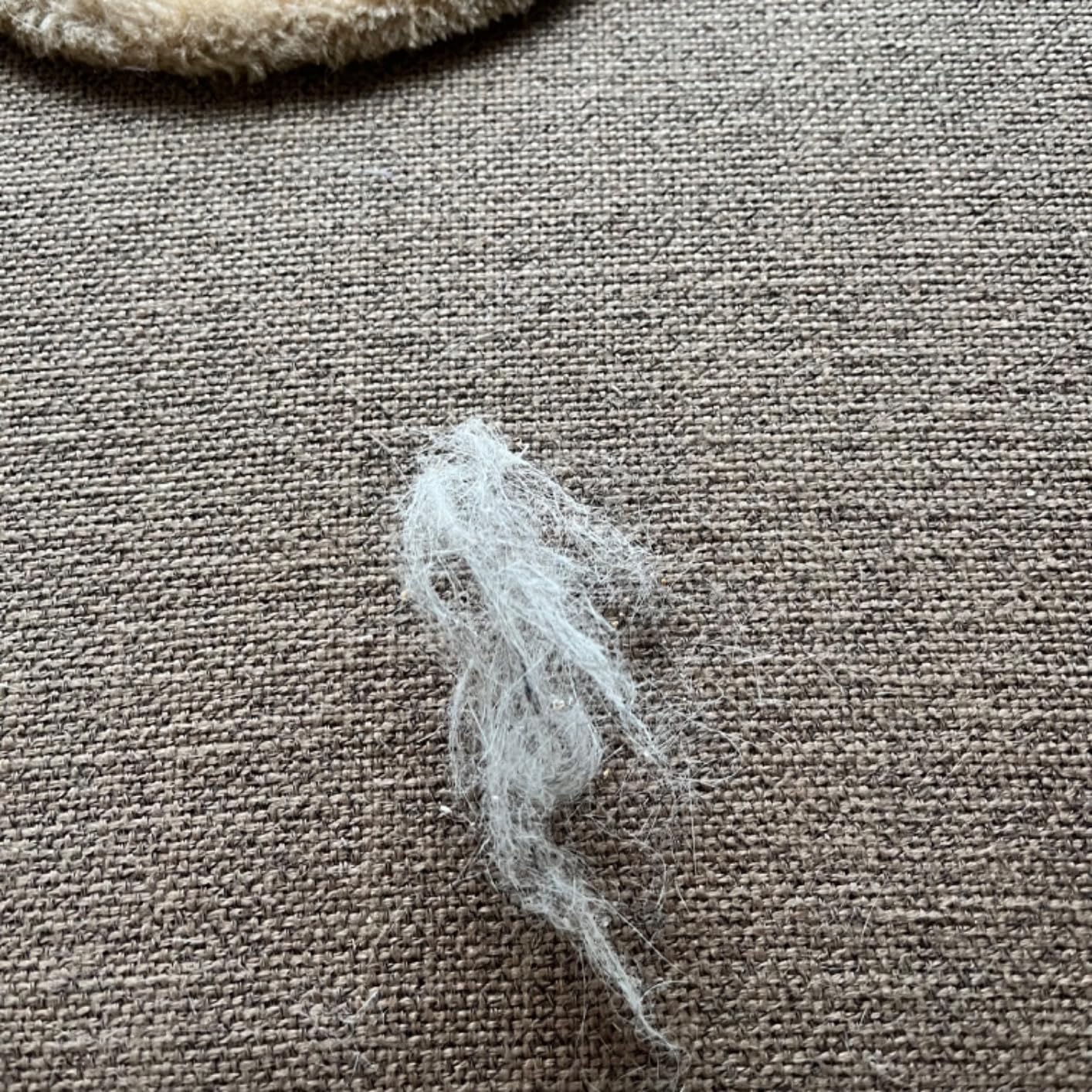 お客様イメージ