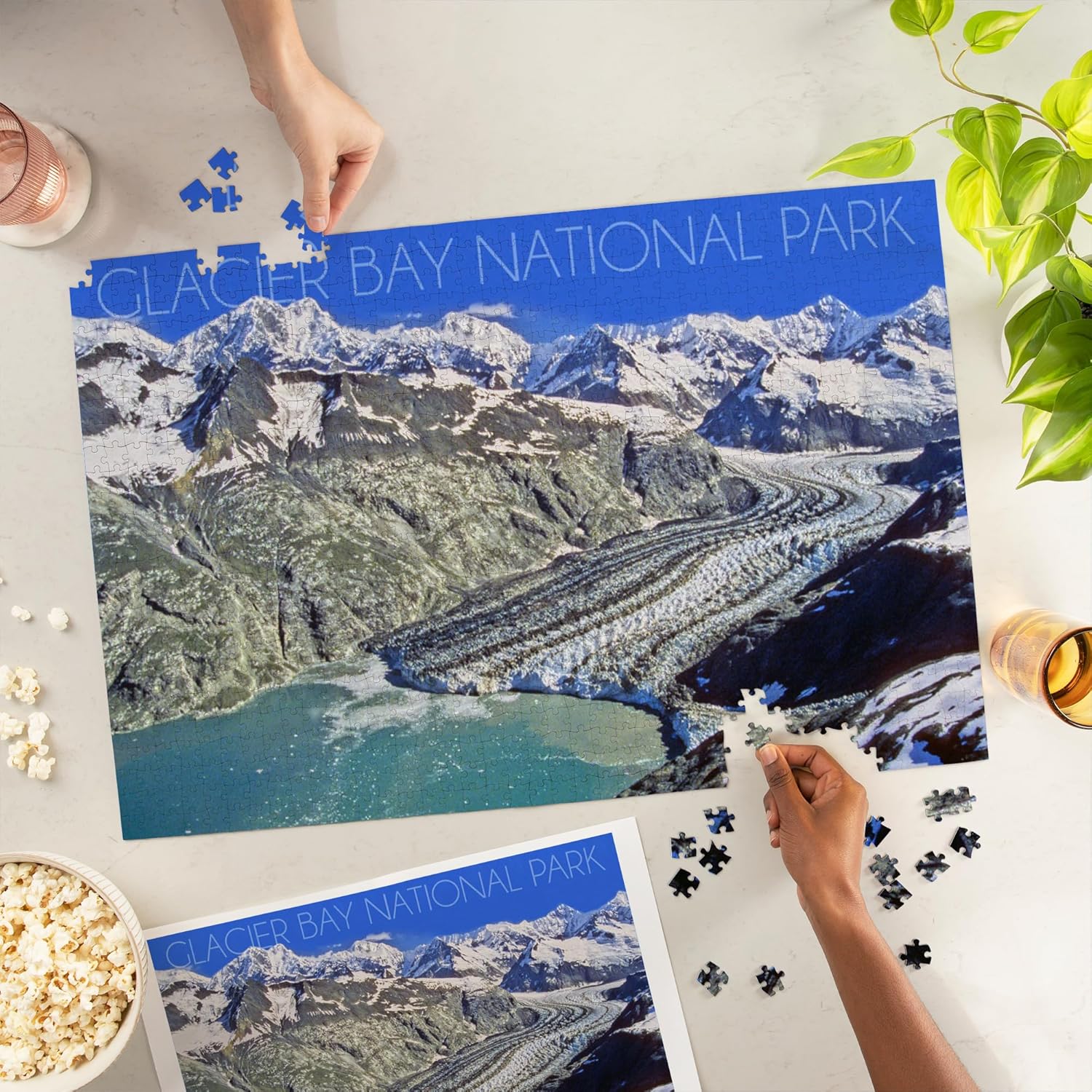 Glacier Bay National Park, Alaska, Mountain View (1000 Piece Puzzle, Challenging Jigsaw Puzzle for Adults, Made in USA)
